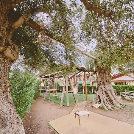 Casale Degli Ulivi Bed & Breakfast *