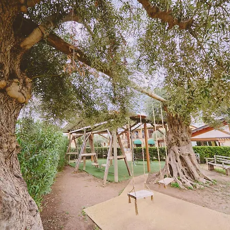 Casale Degli Ulivi Bed & Breakfast *